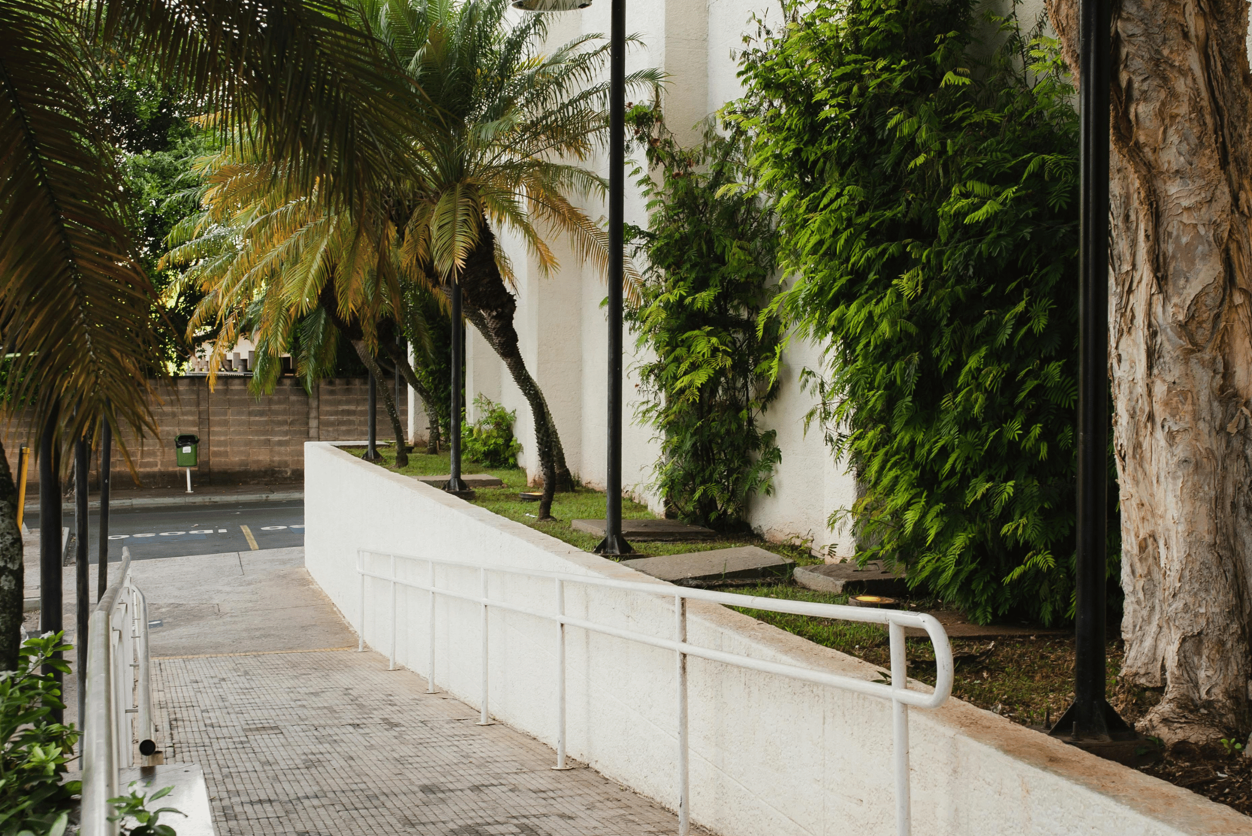 Imaginea prezintă o rampă de acces pentru persoane cu dizabilități, realizată din beton și prevăzută cu balustrade albe pe ambele părți. Rampa este amplasată în aer liber, lângă un zid acoperit parțial cu plante verzi și palmieri, într-un cadru urban cu trotuare și stradă în apropiere. Lumina naturală și vegetația abundentă creează o atmosferă plăcută și primitoare. Formulează o solicitare către ChatGPT