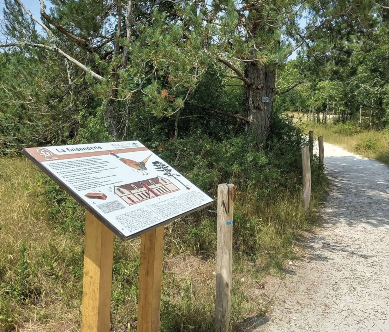 Panou informativ amplasat pe marginea unui traseu natural, realizat din lemn, cu informații despre fauna și mediul înconjurător, lângă o potecă pietruită care traversează o zonă împădurită.